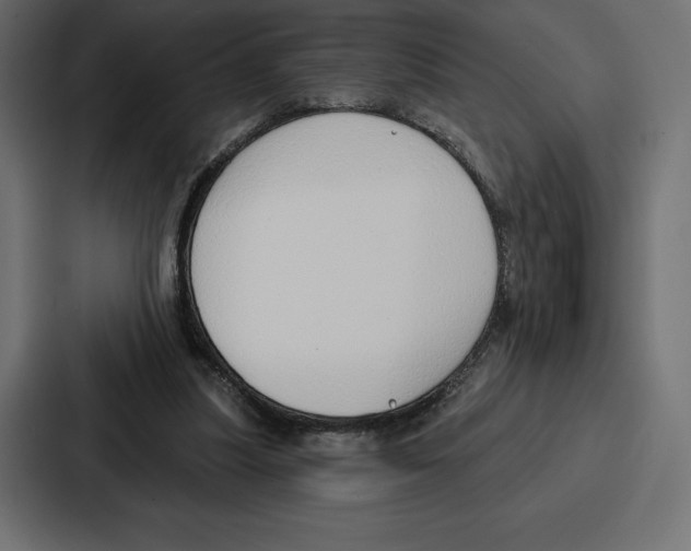 X0000086800251200705111841