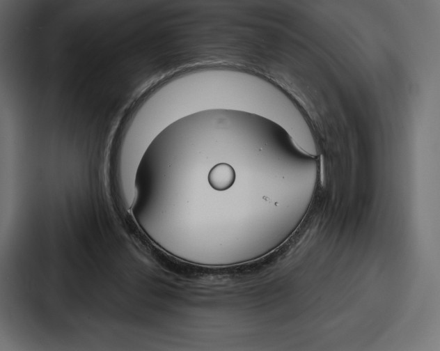 X0000086800252200705111841