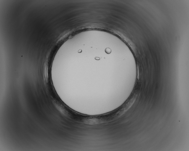 X0000086800253200705111841