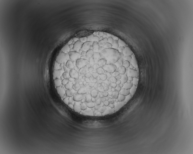 X0000086800254200705111841