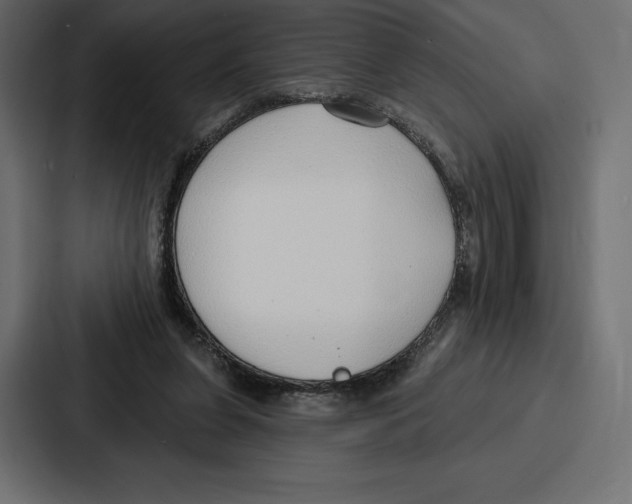 X0000086800255200705111841