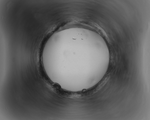 X0000086800257200705111841