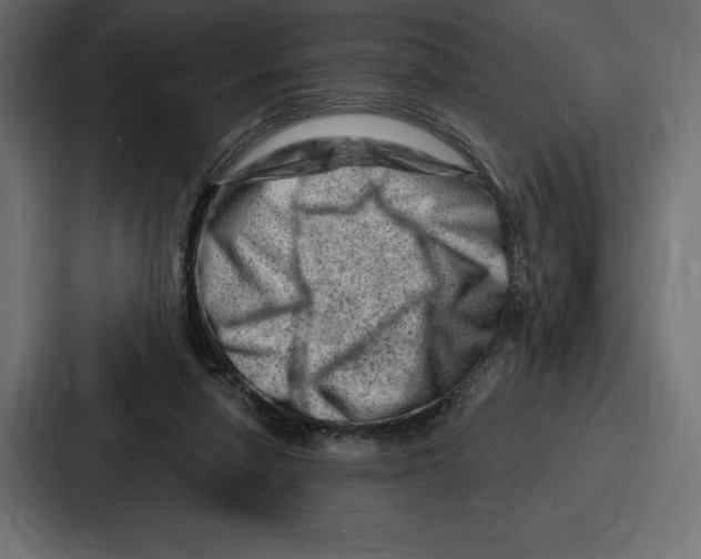 X0000086800258200705111841