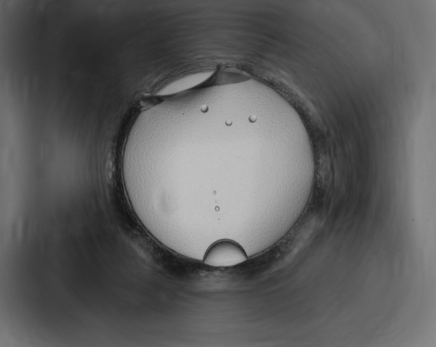 X0000086800259200705111841