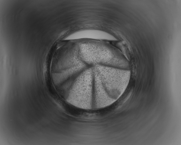 X0000086800260200705111841