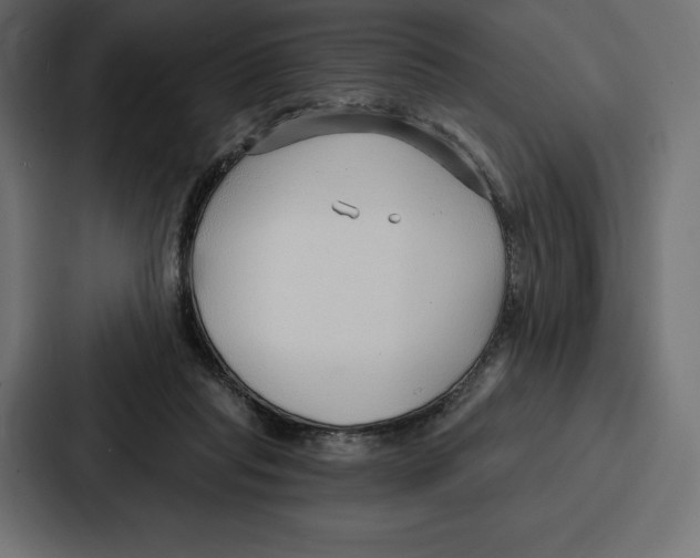 X0000086800261200705111841