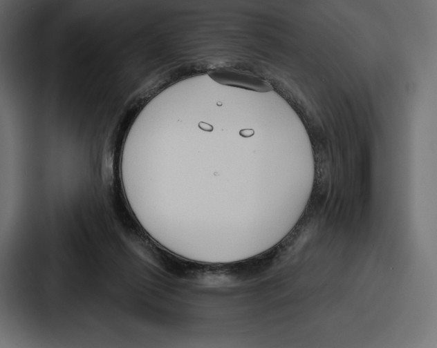 X0000086800262200705111841
