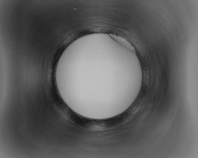 X0000086800263200705111841