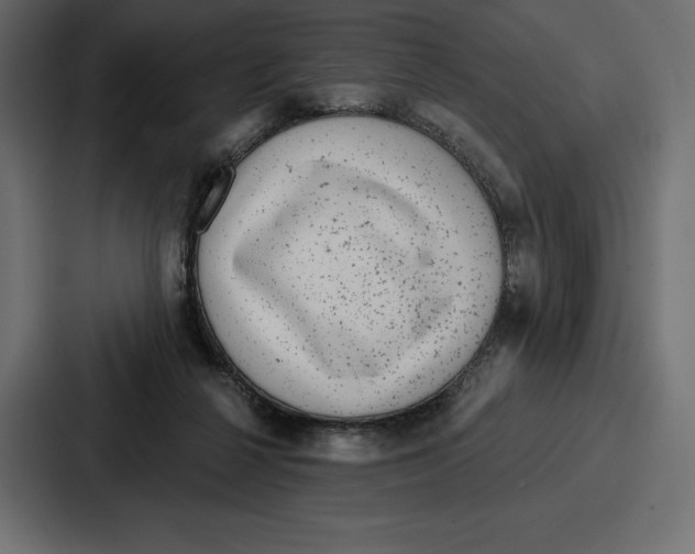 X0000086800264200705111841