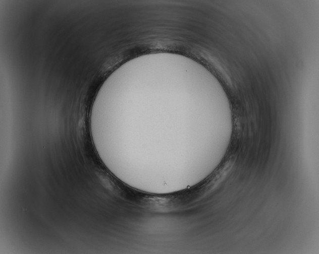 X0000086800265200705111841
