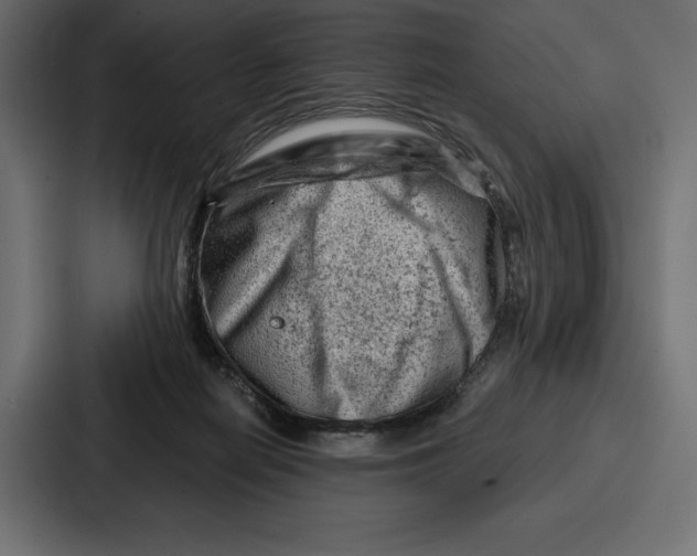 X0000086800266200705111841