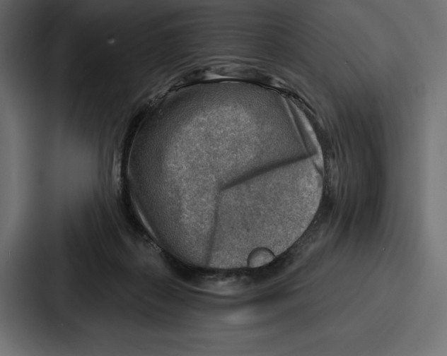 X0000086800267200705111841