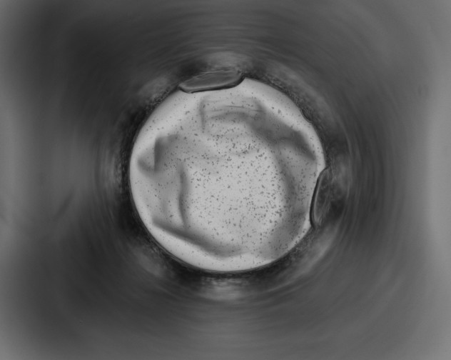 X0000086800268200705111841