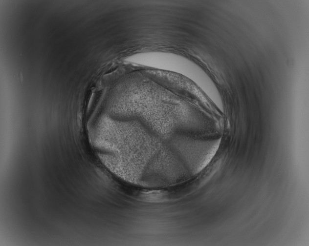 X0000086800269200705111841
