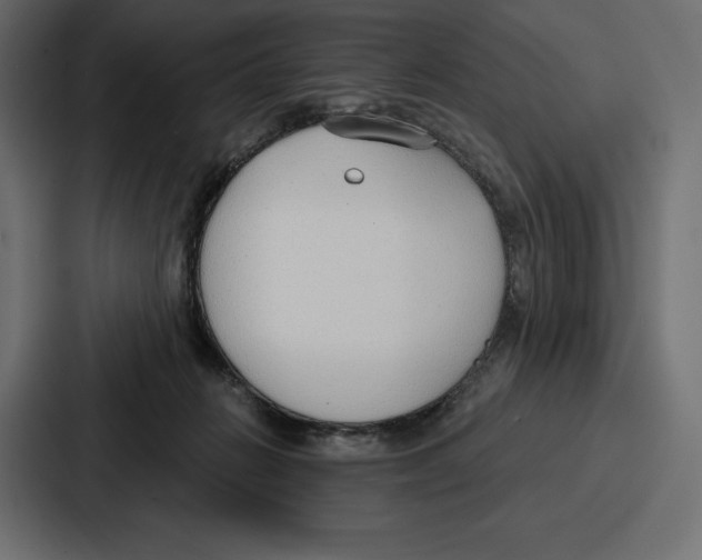 X0000086800270200705111841