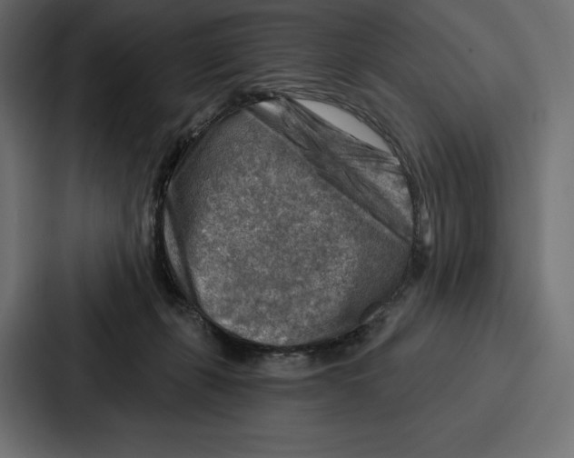 X0000086800271200705111841