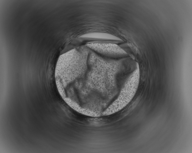 X0000086800273200705111841