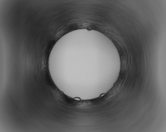 X0000086800274200705111841