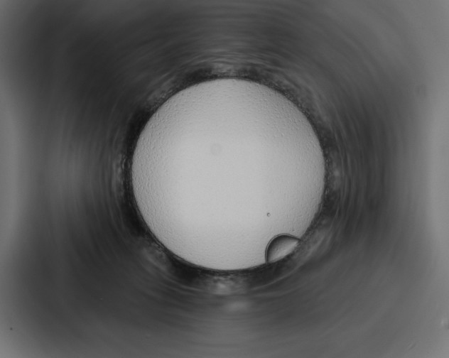 X0000086800275200705111841