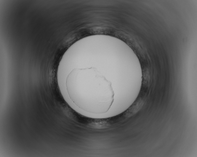 X0000086800278200705111841