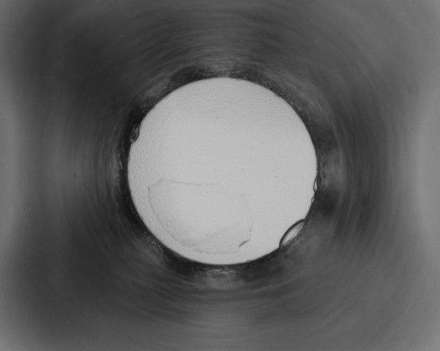 X0000086800279200705111841