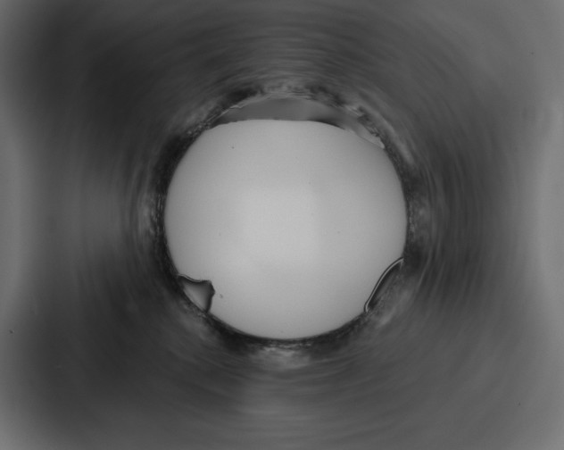 X0000086800280200705111841