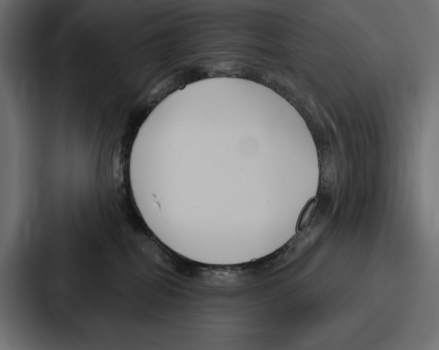 X0000086800282200705111841