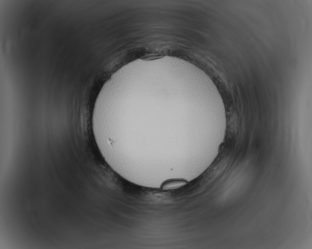 X0000086800283200705111841