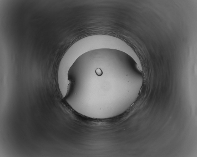X0000086800284200705111841