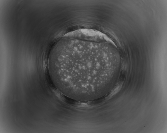X0000086800285200705111841