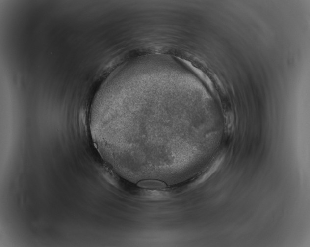 X0000086800286200705111841