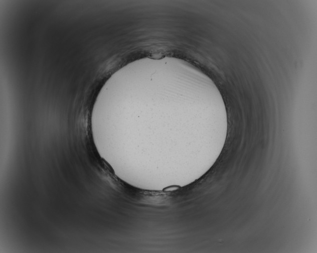 X0000086800288200705111841