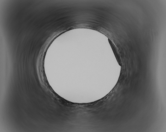 X0000086800289200705111841