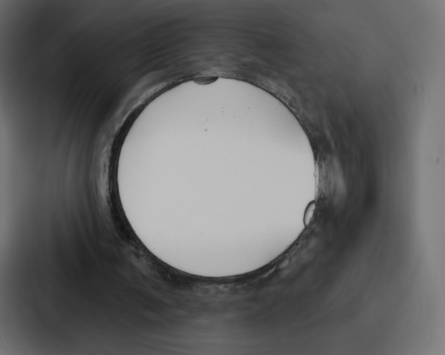 X0000086800291200705111841