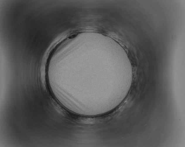X0000086800293200705111841