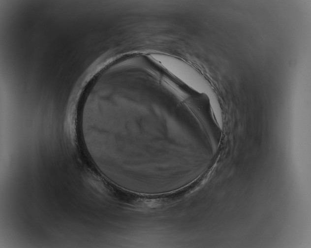 X0000086800295200705111841