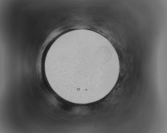 X0000086800296200705111841