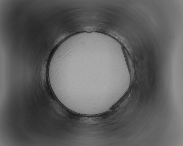 X0000086800297200705111841