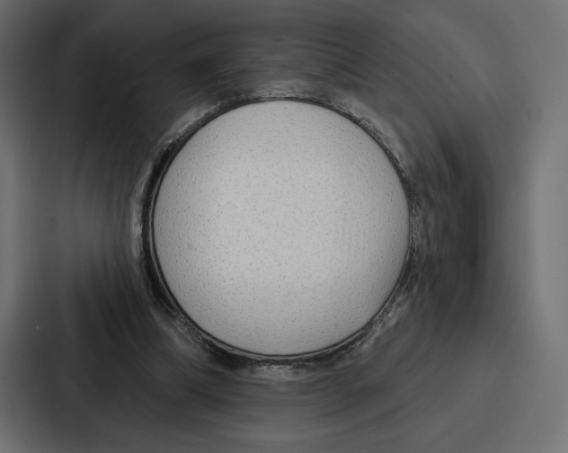 X0000086800298200705111841