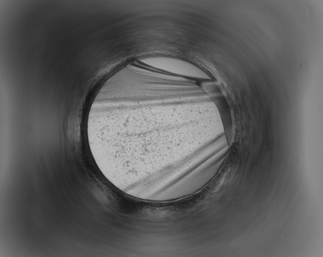 X0000086800299200705111841