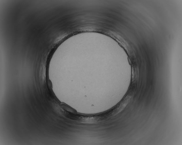 X0000086800301200705111841