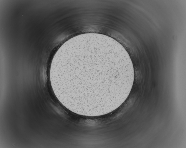 X0000086800302200705111841