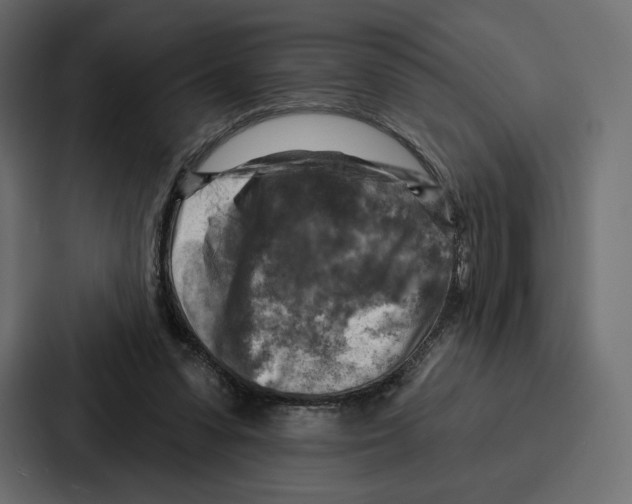 X0000086800303200705111841