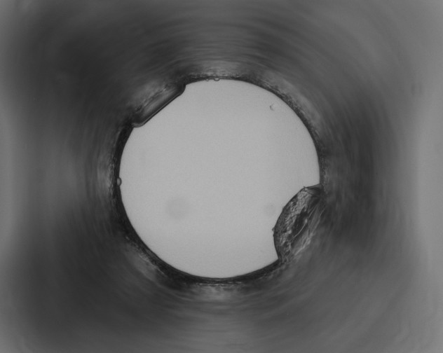 X0000086800305200705111841