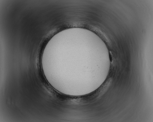 X0000086800306200705111841