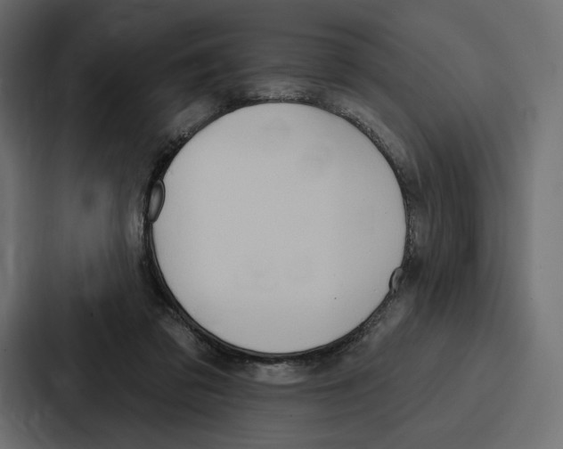 X0000086800309200705111840