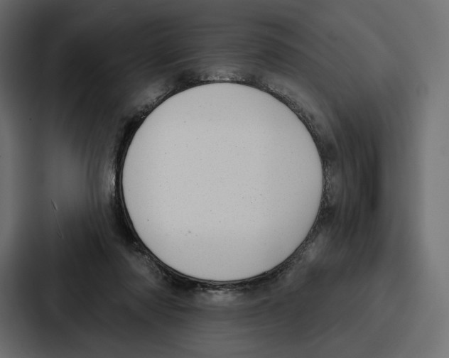 X0000086800310200705111840