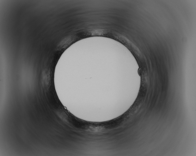 X0000086800311200705111840