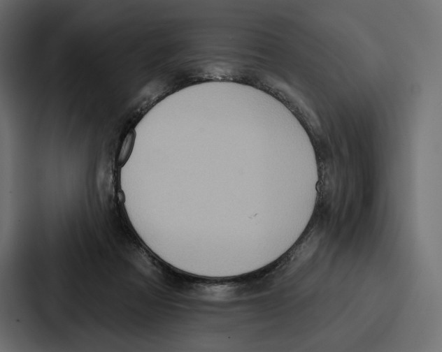 X0000086800313200705111840
