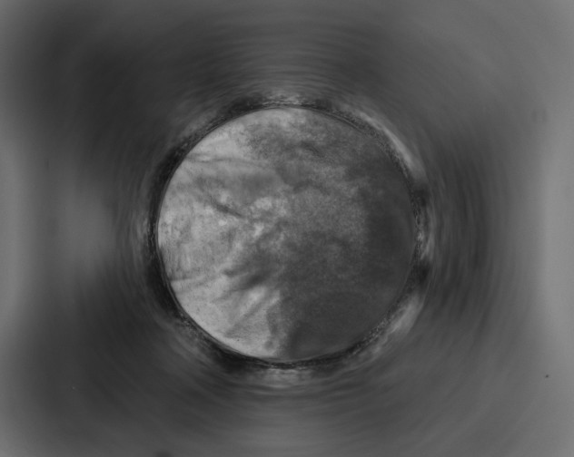 X0000086800314200705111840